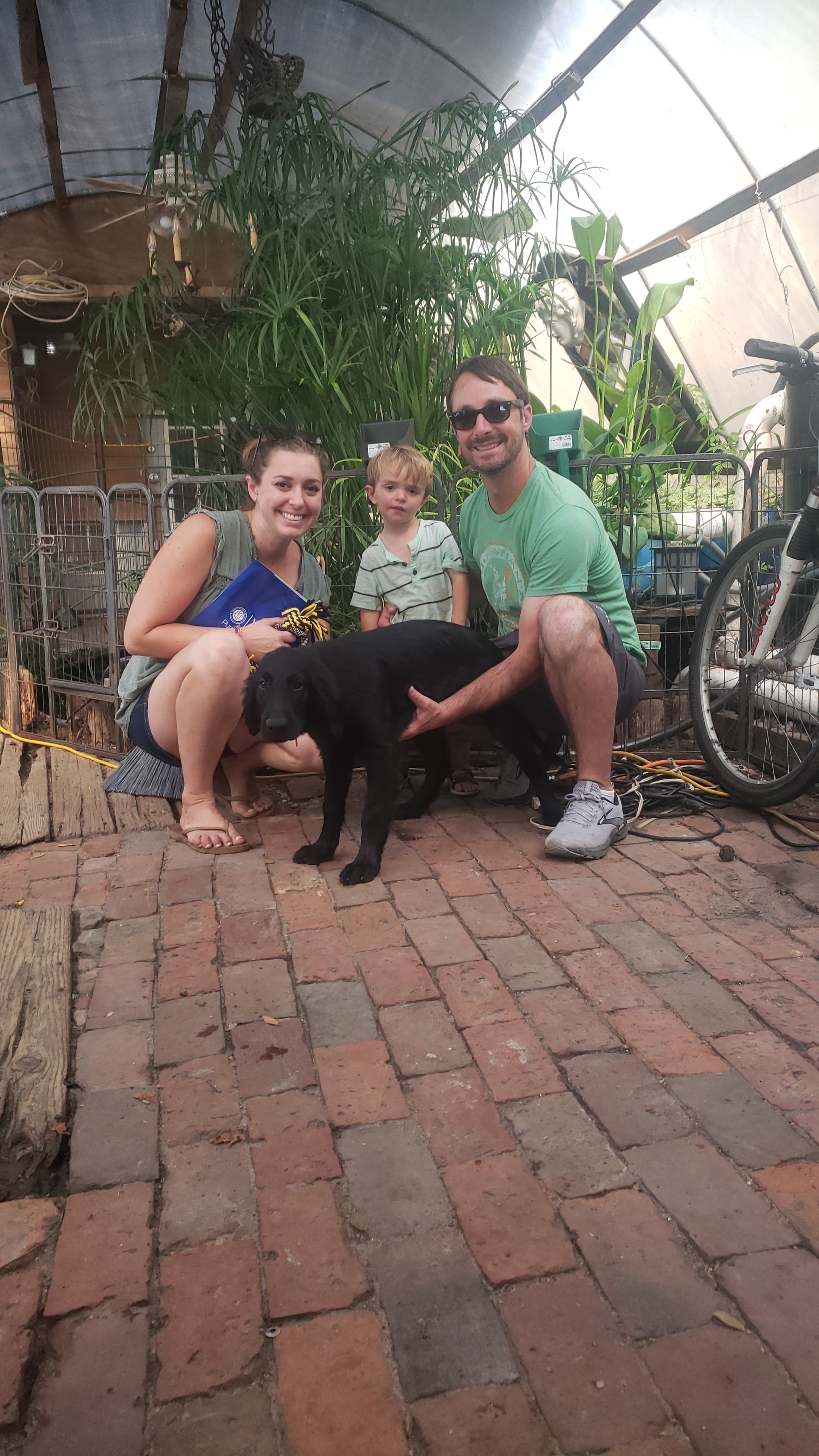 Family celebrating bringing home their new puppy