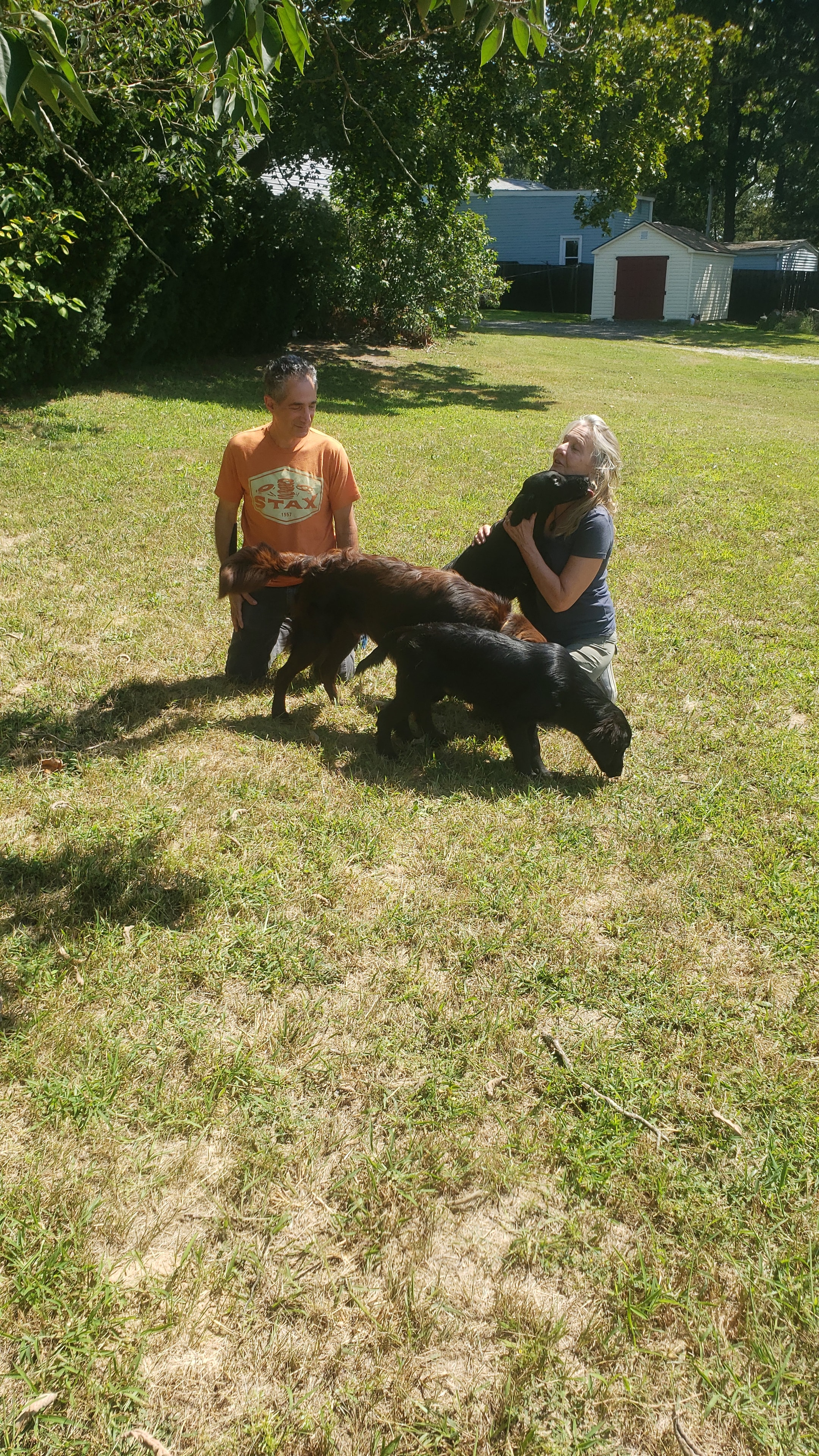 Excited family with their Flat-Coated Retriever