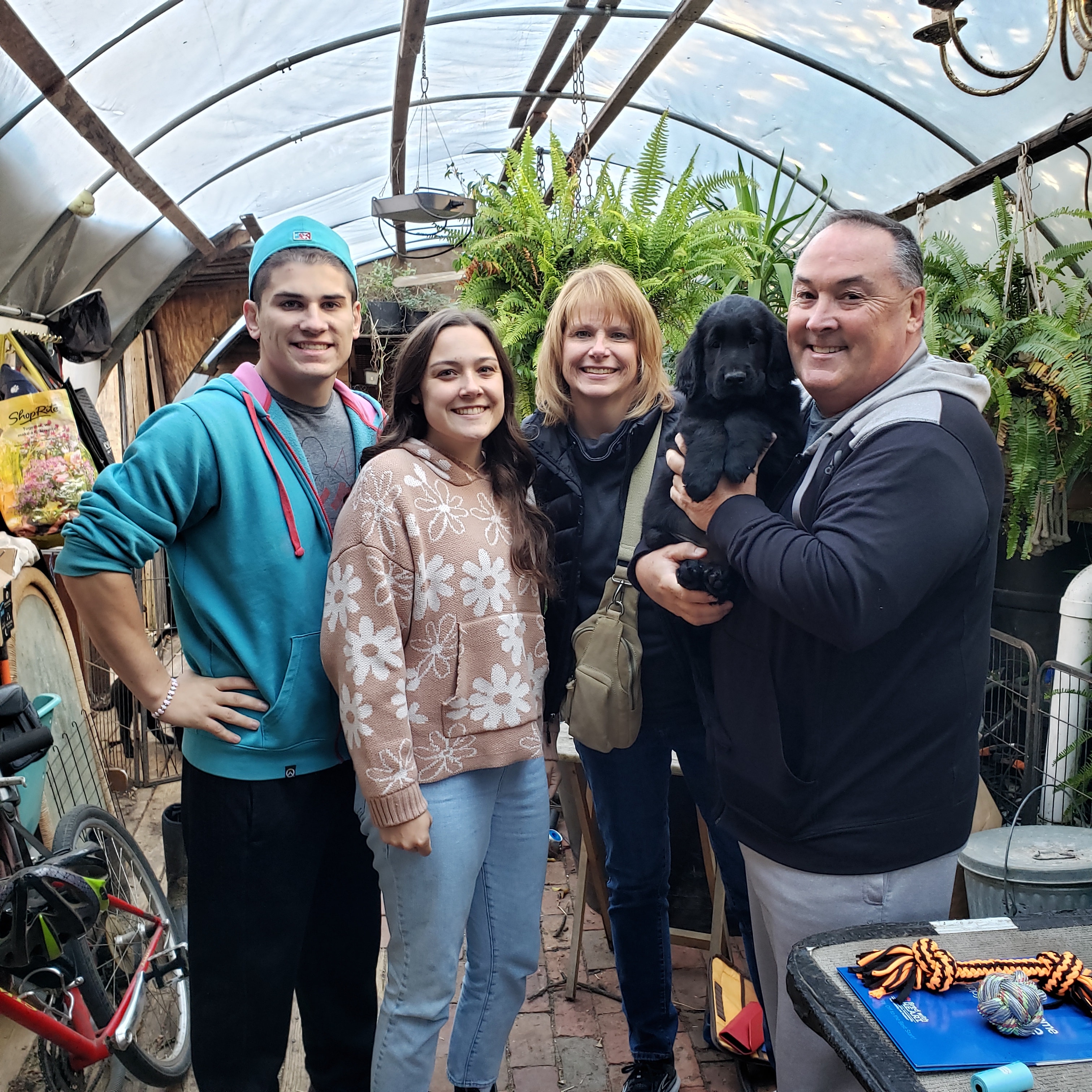 Family welcoming their new Flat-Coated Retriever home